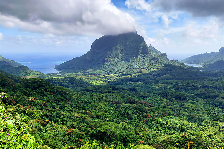 Excursion nautique des deux baies