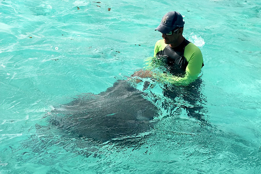 Excursion lagoon: sandbank